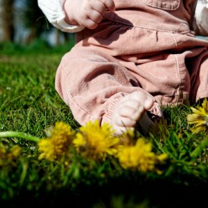 Bébé assis dans l'herbe avec pissenlits en Normandie, séance photo bébé Saint-Hilaire-du-Harcouët.