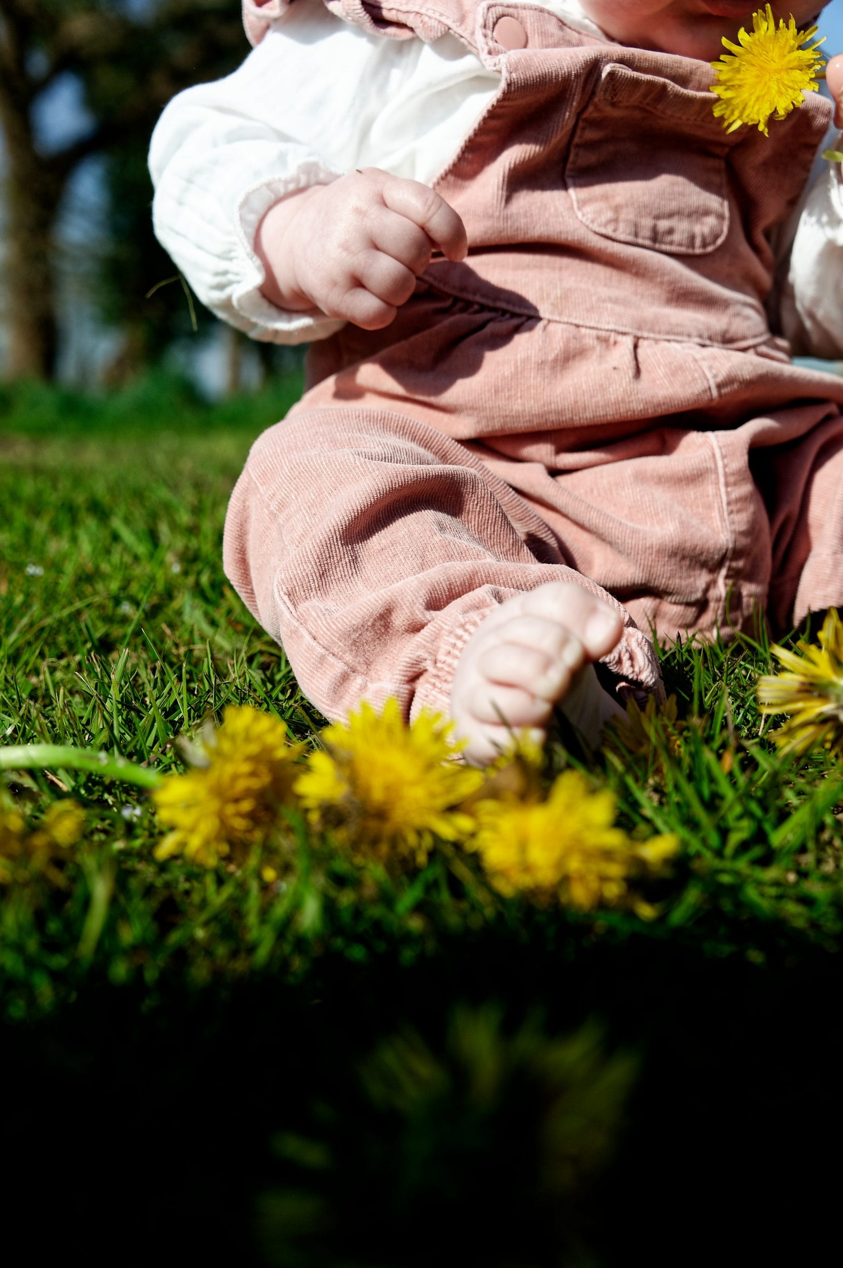 La découverte de la nature et le plaisir de s'asseoir dans l'herbe fraîche au printemps.